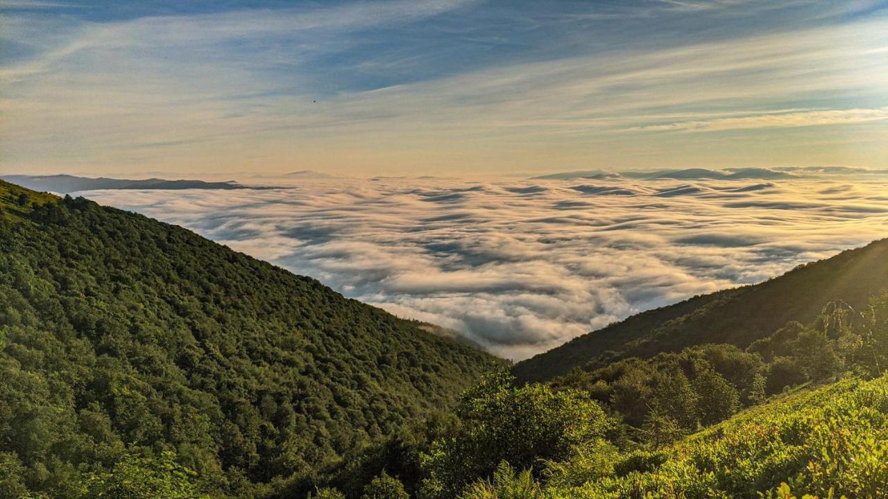 Gostynna Rodyna Hotel Izki Bagian luar foto