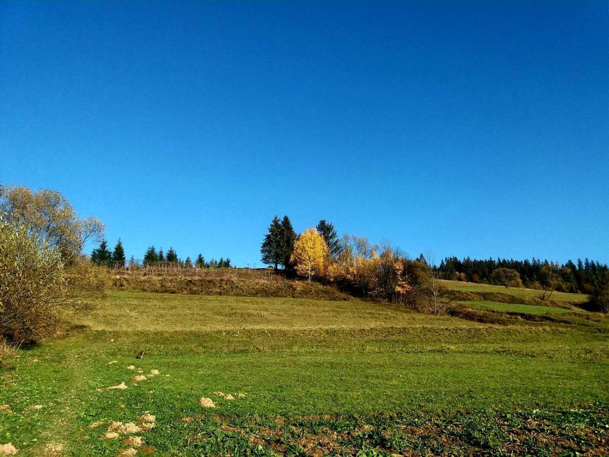 Gostynna Rodyna Hotel Izki Bagian luar foto