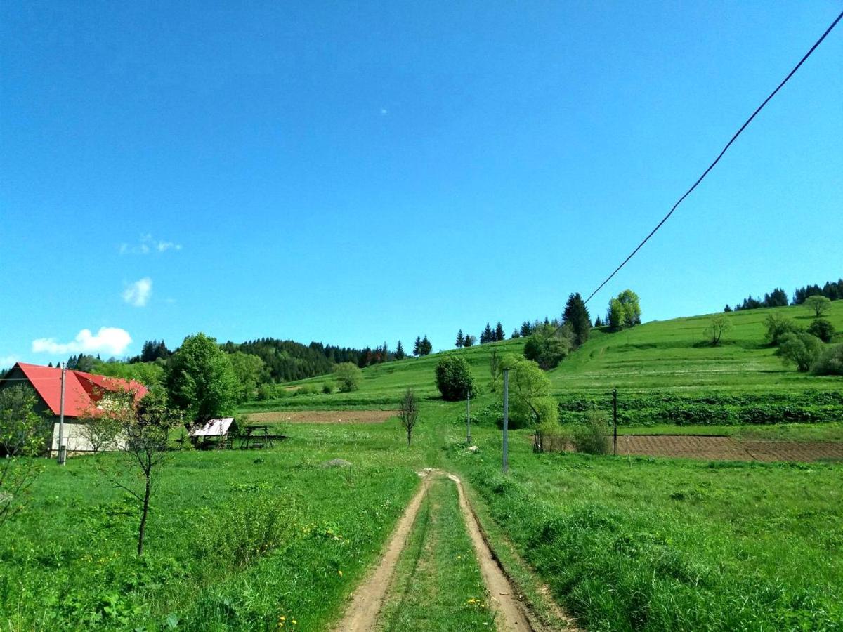 Gostynna Rodyna Hotel Izki Bagian luar foto