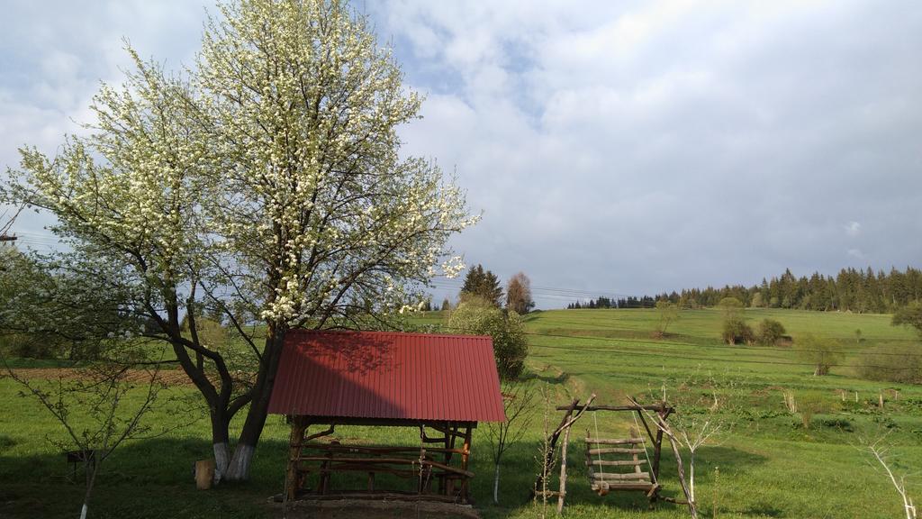 Gostynna Rodyna Hotel Izki Bagian luar foto