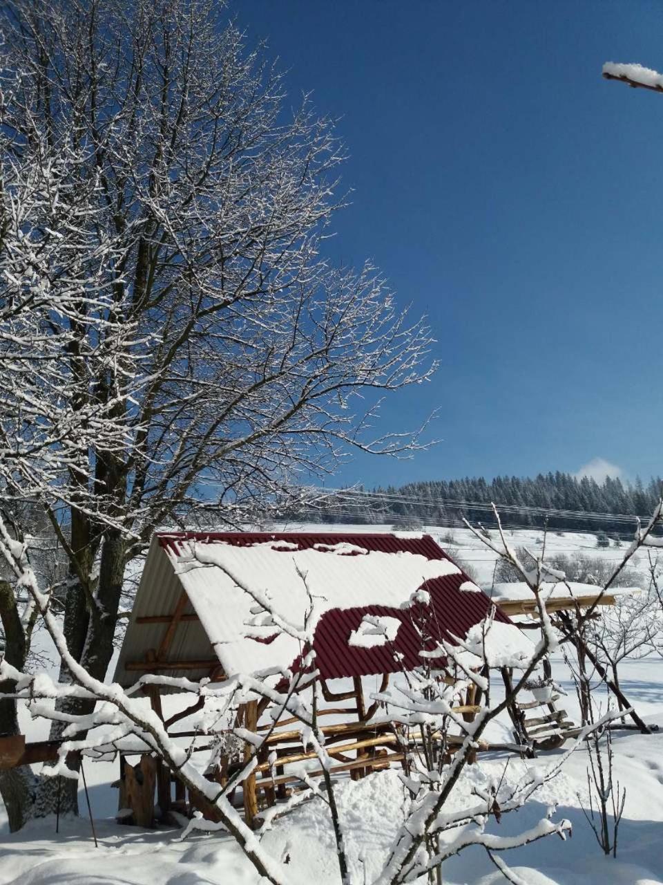 Gostynna Rodyna Hotel Izki Bagian luar foto