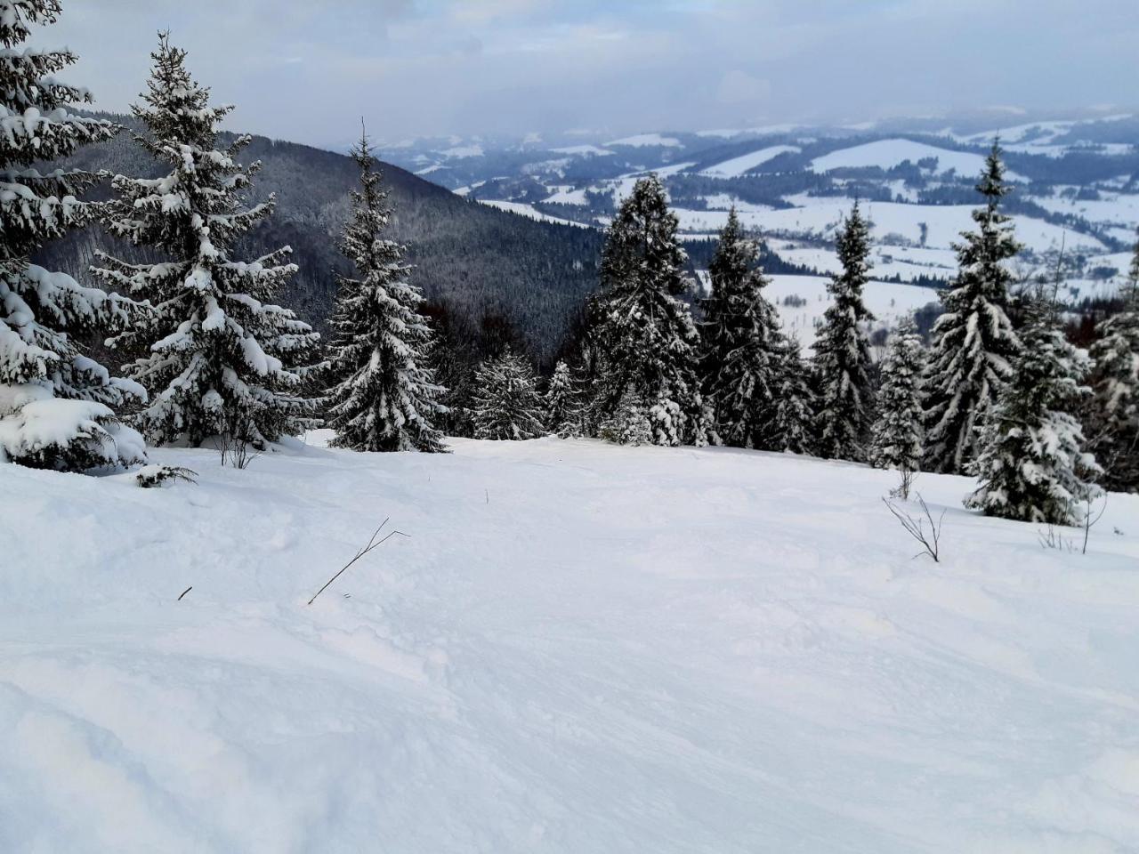 Gostynna Rodyna Hotel Izki Bagian luar foto