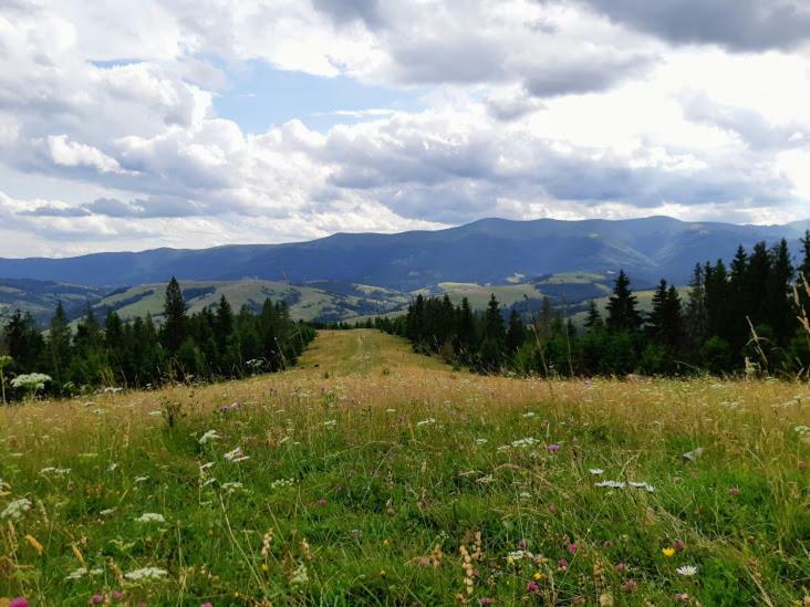 Gostynna Rodyna Hotel Izki Bagian luar foto
